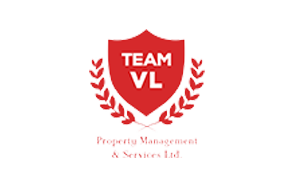 Λογότυπο teamvlservices